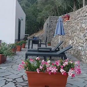 Le Finestre Di Apartamento
